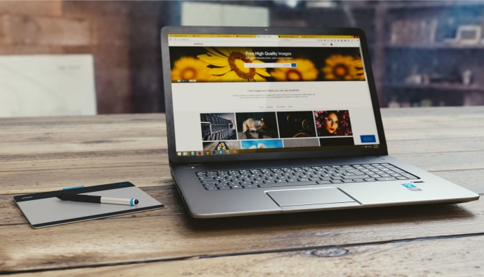 Web Designer in Delhi NCR