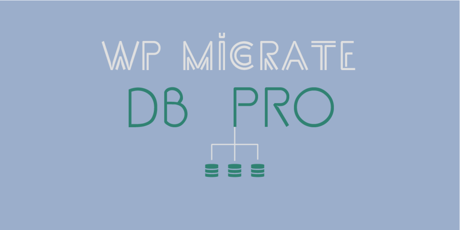 WP Migrate DB Pro