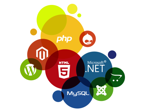 Web Development and Design Skills