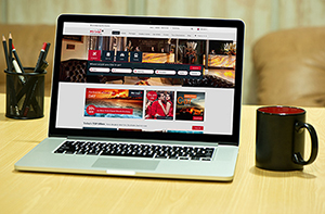Tour & Travel Website Design